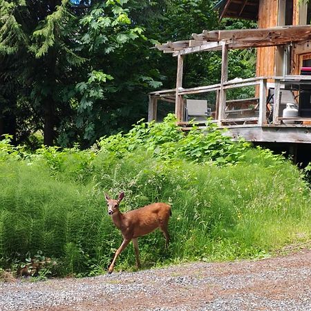 Ocean Views & Sunset Beach Cabin With Soaker Tub & Fire Pit Villa Powell River Eksteriør billede