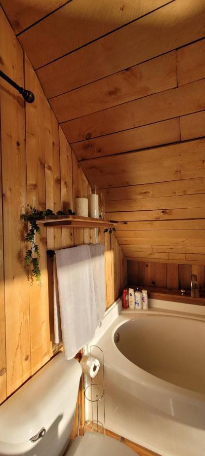 Ocean Views & Sunset Beach Cabin With Soaker Tub & Fire Pit Villa Powell River Eksteriør billede