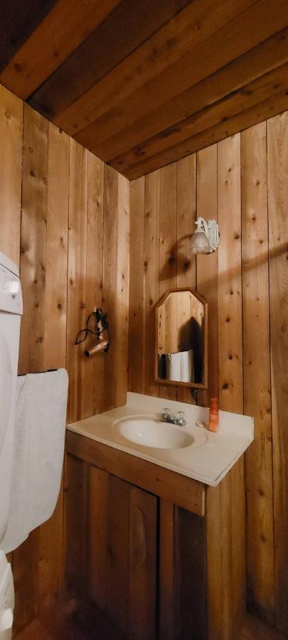 Ocean Views & Sunset Beach Cabin With Soaker Tub & Fire Pit Villa Powell River Eksteriør billede