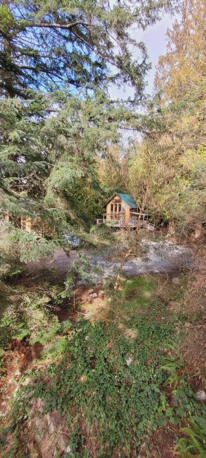 Ocean Views & Sunset Beach Cabin With Soaker Tub & Fire Pit Villa Powell River Eksteriør billede