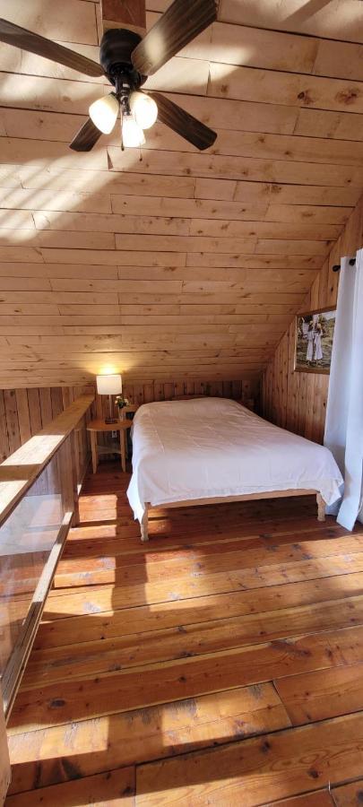 Ocean Views & Sunset Beach Cabin With Soaker Tub & Fire Pit Villa Powell River Eksteriør billede